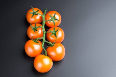 Siyah bir arka plan üzerinde güzel kırmızı domates, yakın.