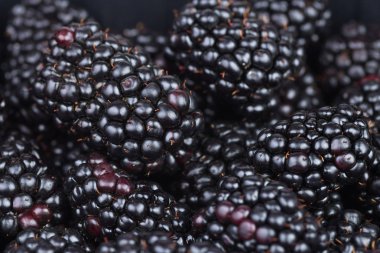 taze olgun böğürtlen