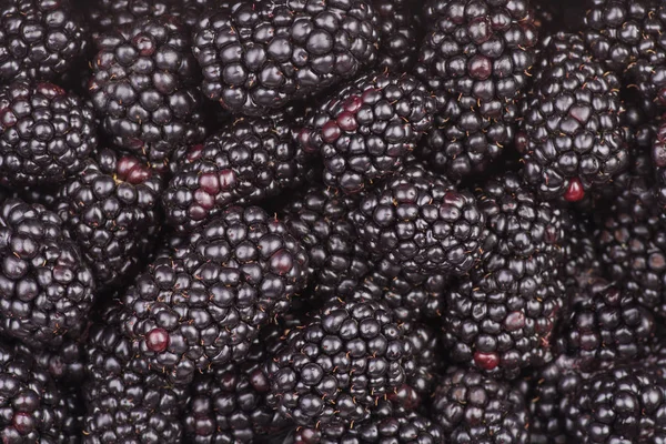 Fresh Ripe Blackberries — Stock Photo, Image