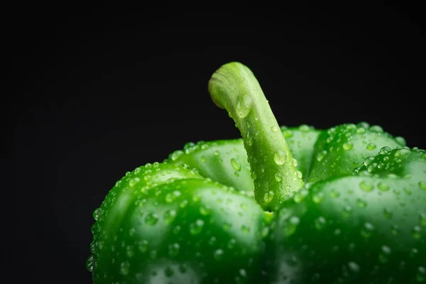 Pimenta verde fresca com gotas de água em um fundo preto — Fotografia de Stock