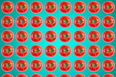 Mavi arka planda kırmızı domateslerin sebze deseni. Düz yatıyordu, 