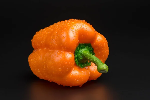 Fresh bright colorful peppers on a black background — Stock Photo, Image