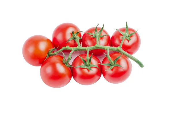 Черри томатная ветвь изолированы на белом фоне. Красный цвет — стоковое фото