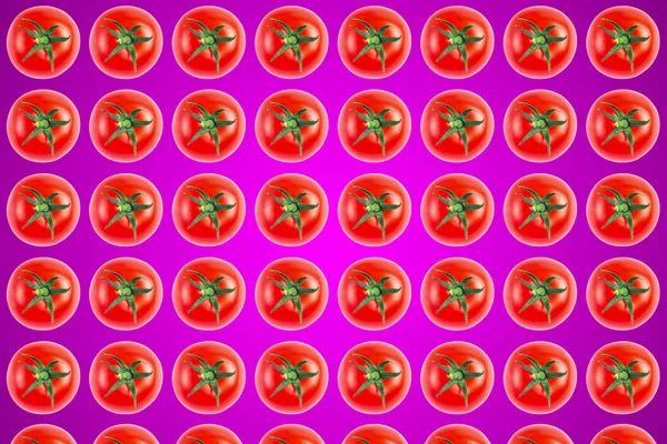 Рослинний візерунок червоних помідорів на фіолетовому фоні . — стокове фото