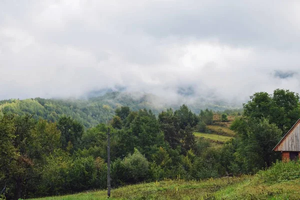 dağlar sisli sabahı. Yeşil orman güzel bir sahne. Karpat dağ