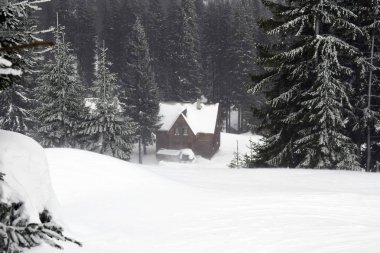 Dağ tatil evleri karla, kış harikalar diyarı kaplı. Kayak Merkezi. Karpatlar ormanında kış