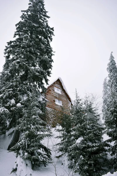 Mountain Semesterhus Täckt Med Snö Vinterlandskap Skidorten Winter Forest Karpaterna — Stockfoto