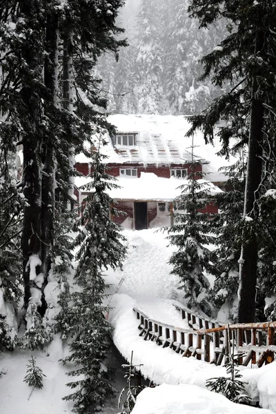 Ferienhäuser Den Bergen Mit Schnee Bedeckt Winterwunderland Winterwald Den Karpaten — Stockfoto