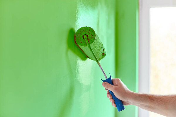 Male hand painting wall with paint roller. Painting apartment, renovating with green color paint