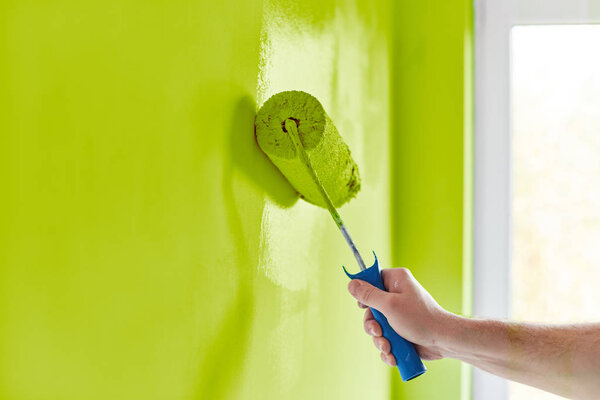 Male hand painting wall with paint roller. Painting apartment, renovating with spring green color paint