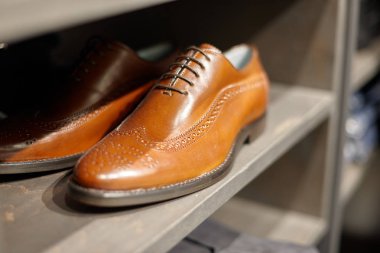 Erkek zarif klasik Ayakkabı Ayakkabı dükkanında rafta