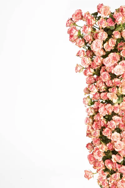 Moldura Rosas Rosa Fundo Branco Dia Dos Namorados Fundo Flat — Fotografia de Stock