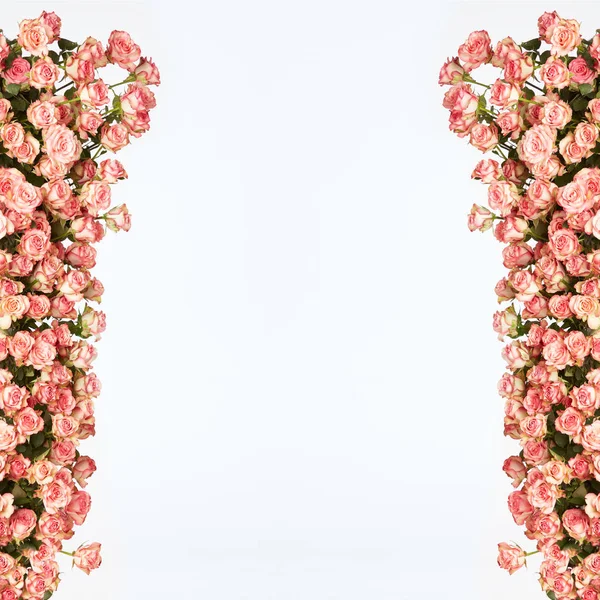 框架从粉红色的玫瑰在白色的背景 情人节背景 平面铺设 复制空间 — 图库照片
