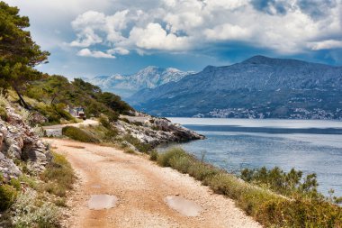 Brac, Croa adasının kıyıları boyunca ağaçların arasında yol