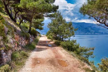 Brac, Croa adasının kıyıları boyunca ağaçların arasında yol