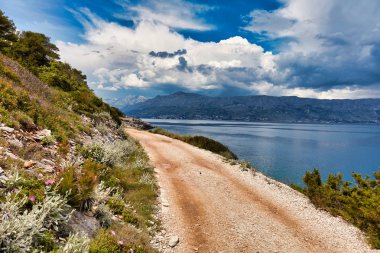 Brac, Croa adasının kıyıları boyunca ağaçların arasında yol