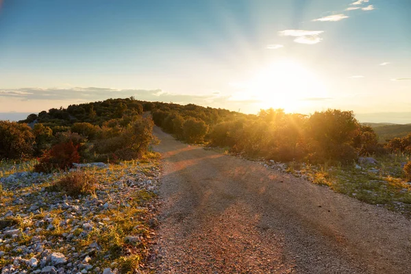 The sun sets over a country road. Mediterranean vegetation — Stock Photo, Image