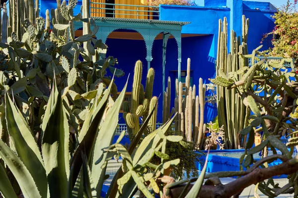 Marrakech Marocco 2016 Giardino Jardin Majorelle Marrakech Stata Fondata Nel — Foto Stock