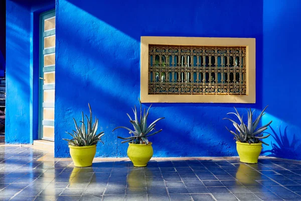 Marrakech Morocco 2016 Jardin Majorelle Garden Στο Μαρακές Ιδρύθηκε 1923 — Φωτογραφία Αρχείου