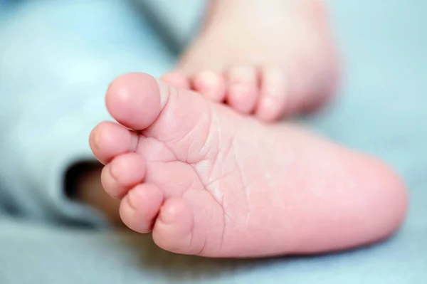makro lens, yeni doğan, ayaklarda ayakları küçük bebeğim
