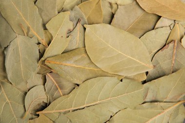 Kurutulmuş defne yaprağı. En iyi doğal lezzet. Üstten Görünüm. Gıda arka plan. Sağlıklı gıda. Doğal gıda.