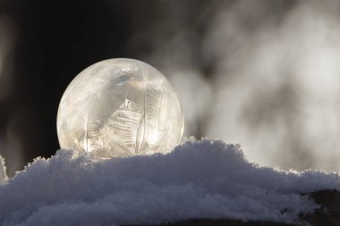 Arka planda bir bokeh ile karda donmuş kabarcık. Donmuş sabun köpüğü güzel soğuk desenler.