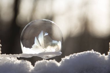 Arka planda bir bokeh ile karda donmuş kabarcık. Donmuş sabun köpüğü güzel soğuk desenler.