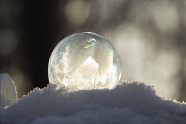 Arka planda bir bokeh ile karda donmuş kabarcık. Donmuş sabun köpüğü güzel soğuk desenler.