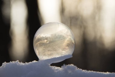 Arka planda bir bokeh ile karda donmuş kabarcık. Donmuş sabun köpüğü güzel soğuk desenler.