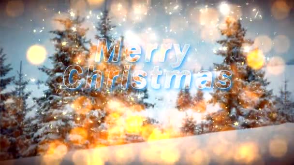 New Year Background Fir Trees Snow — Stock Video