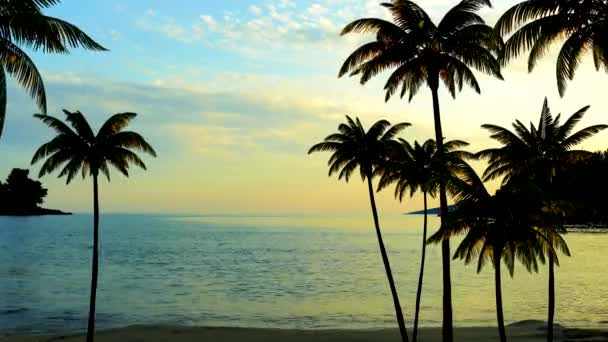 Ηλιοβασίλεμα Στα Δέντρα Στη Θάλασσα Και Palm — Αρχείο Βίντεο