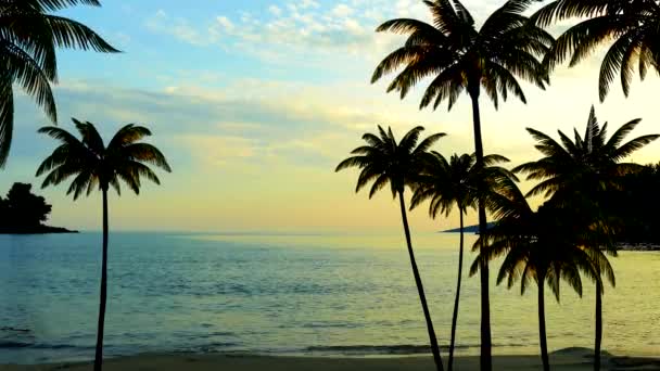 Deniz Palmiye Ağaçları Güzel Gün Batımı — Stok video