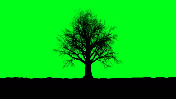 Αποξηραμένα Δέντρο Στην Πράσινη Οθόνη Rendering Κανάλι Άλφα — Αρχείο Βίντεο
