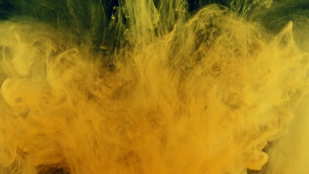 Textura Del Líquido Disolución Pinturas Agua Mezcla Colores Líquidos Naturales — Vídeos de Stock
