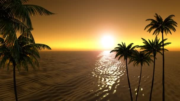 Západ Slunce Moři Tropické Zemi Časové — Stock video