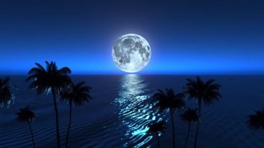 Tropik ve palmiye ağaçları deniz üzerinde Moonrise
