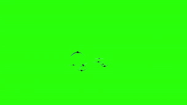 万圣节假期 成群的蝙蝠在绿色的屏幕背景上飞翔 Hroma键 — 图库视频影像