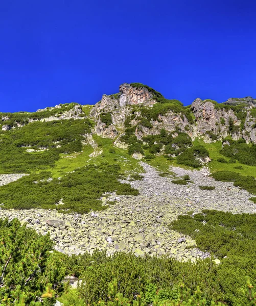 Vackert Landskap Det Höga Berget — Stockfoto