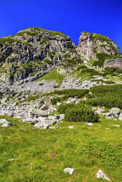 Vackert Landskap Det Höga Berget — Stockfoto