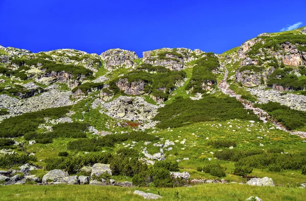 Vackert Landskap Det Höga Berget — Stockfoto