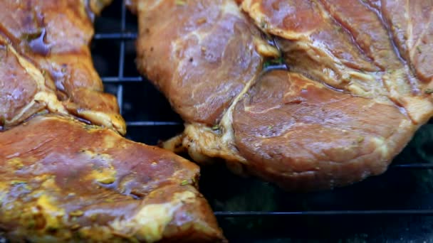 Arrosto Carne Fresca Sul Barbecue Primo Piano — Video Stock