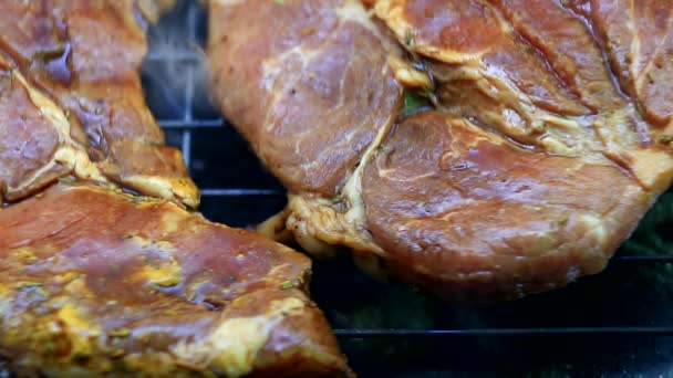 Braten Von Frischem Fleisch Auf Dem Grill Nahaufnahme — Stockvideo