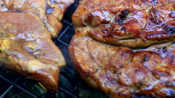 Roosteren Van Vers Vlees Barbecue Closeup — Stockvideo