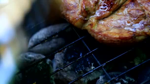 Arrosto Carne Fresca Sul Barbecue Primo Piano — Video Stock