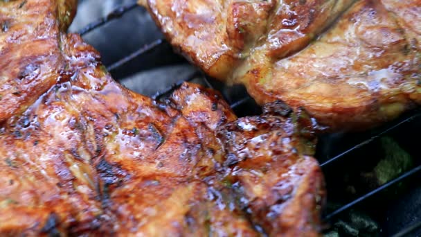 Braten Von Frischem Fleisch Auf Dem Grill Nahaufnahme — Stockvideo