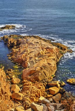 Kayalık kıyısında güzel manzara