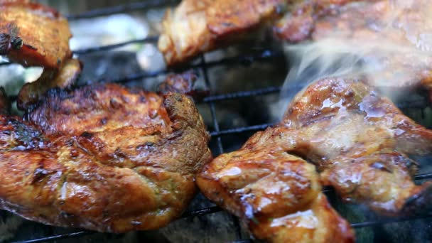 Roosteren Van Vers Vlees Barbecue Closeup — Stockvideo