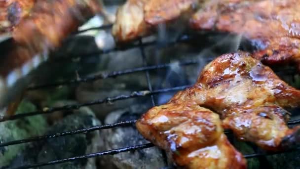 Roasting Fresh Meat Barbecue Closeup — Stock Video