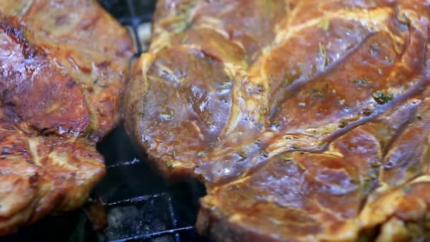 Braten Von Frischem Fleisch Auf Dem Grill Nahaufnahme — Stockvideo