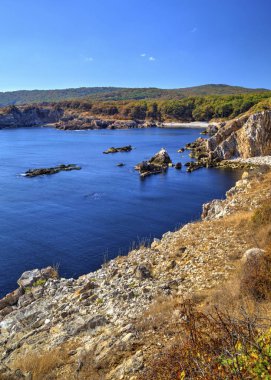 Kayalık kıyısında güzel manzara